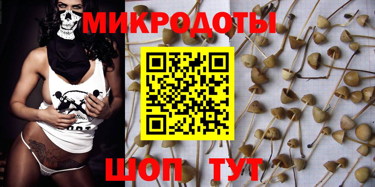 Псилоцибиновые грибы MAGIC MUSHROOMS Лесосибирск